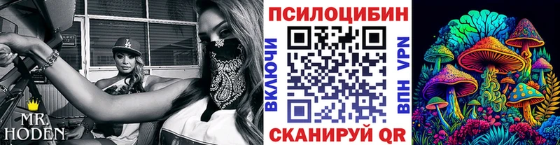 Псилоцибиновые грибы мицелий Строитель
